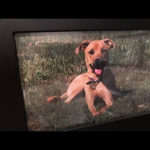 Meet your Posher, Haylee